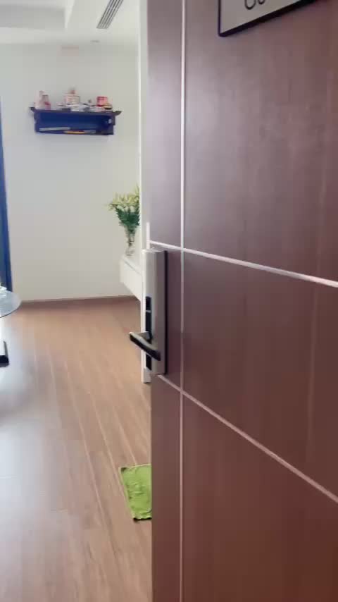Căn hộ Vinhomes Green Bay, Studio 25 m²