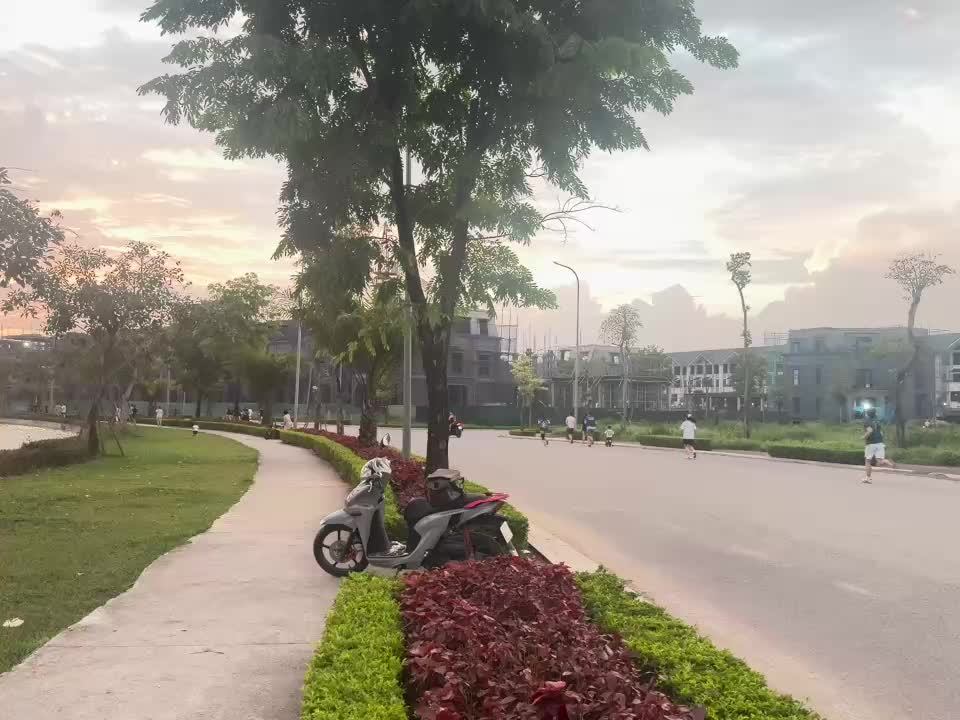 Căn hộ · The Flame Vine - Hinode Royal Park