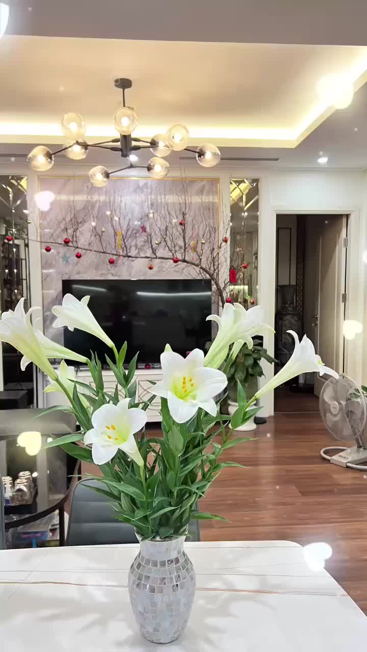 Căn hộ Imperia Garden, 3 PN 97 m²