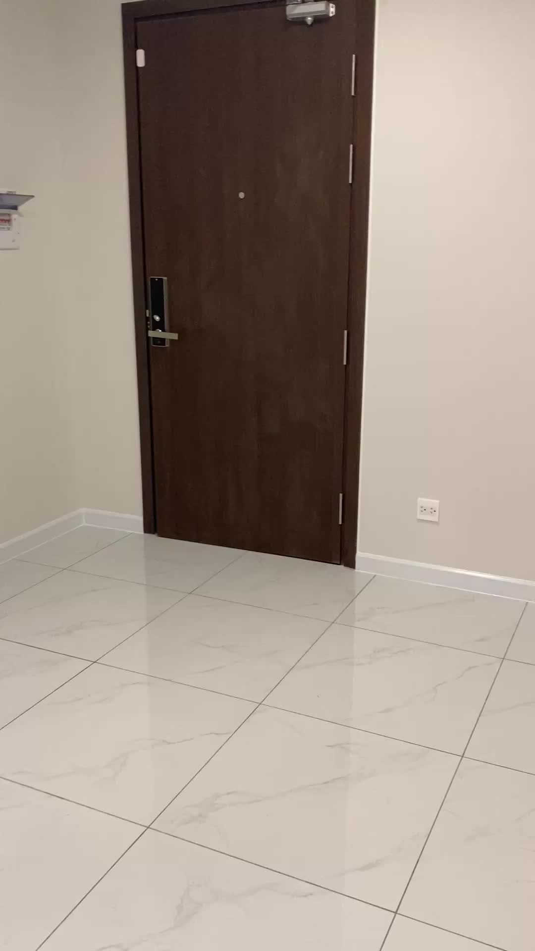 Căn hộ 2pn 1wc 58m Tháp cao cấp c2  picity quận 12 - ảnh 2