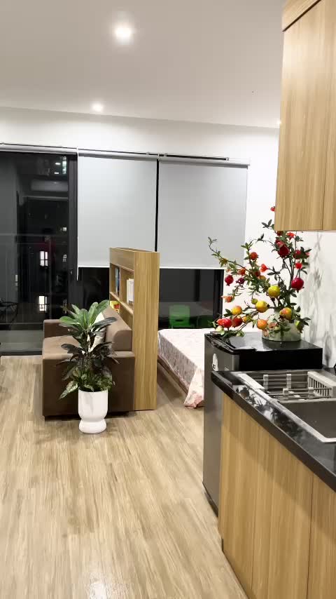 Căn hộ The Pavilion - Vinhomes Ocean Park, Studio 33.1 m²