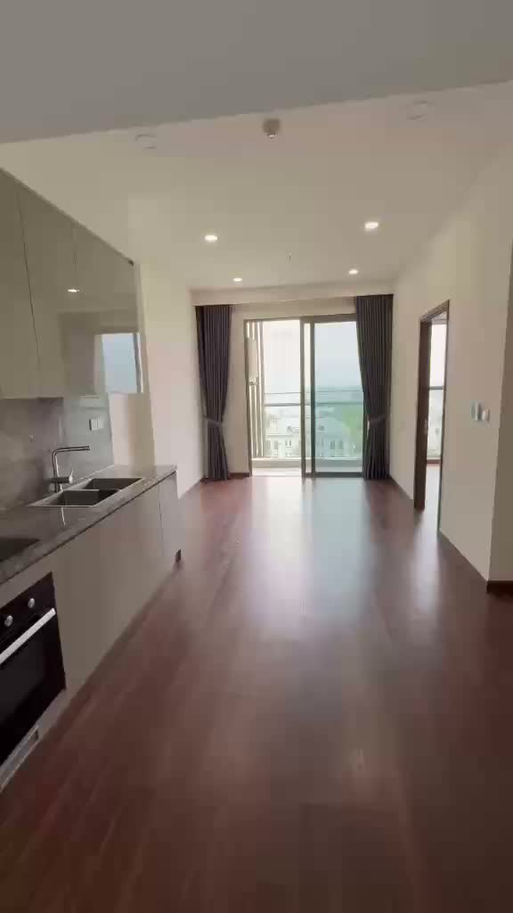 Căn hộ Vinhom oncenpark1 masterize toà H2 55m - ảnh 2