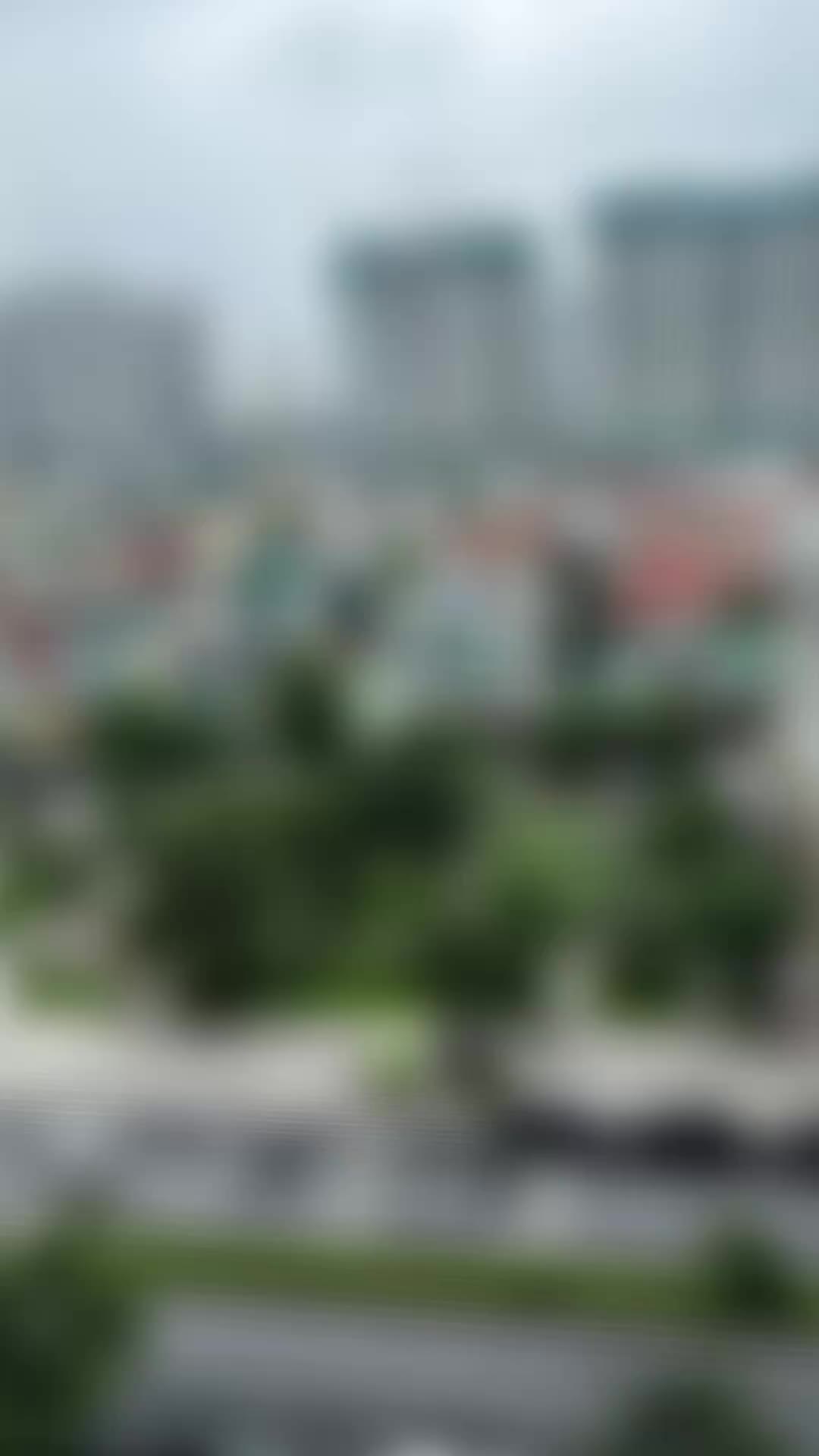 Căn hộ Phân khu The Zenpark - Vinhomes Ocean Park, Studio, 29 m²