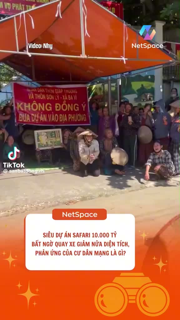 Dự án mới