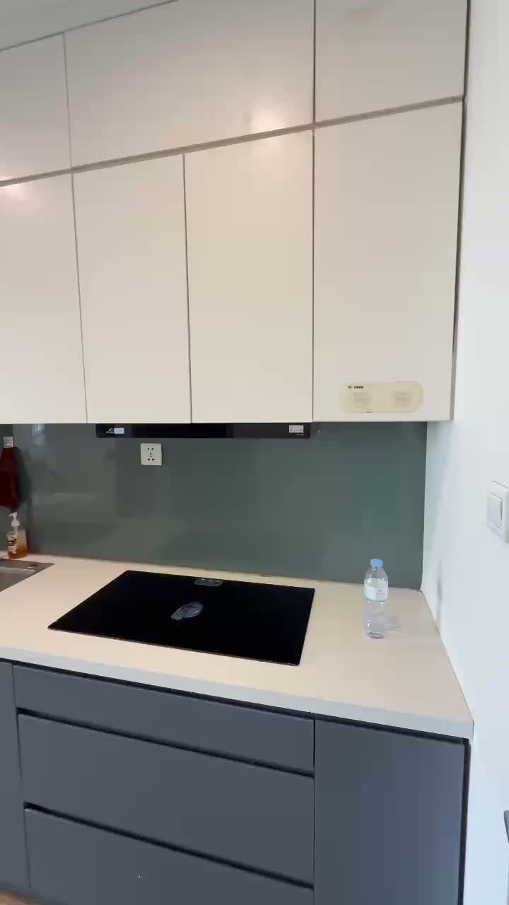 Căn hộ Vinhomes Ocean Park, Studio 28 m²