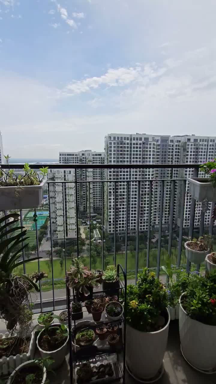 Căn hộ · The Rainbow - Vinhomes Grand Park