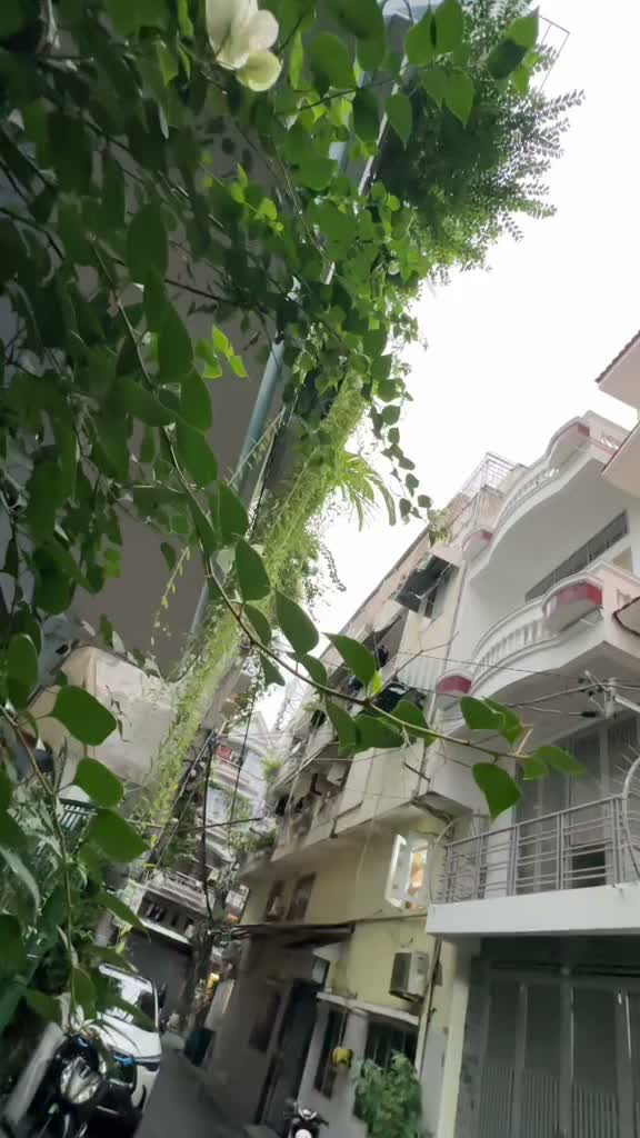 Nhà đẹp quận 10 - Tô Hiến Thành - 4x20 ( 80m2 ) xe hơi đậu của - 5PN - 23 tỷ