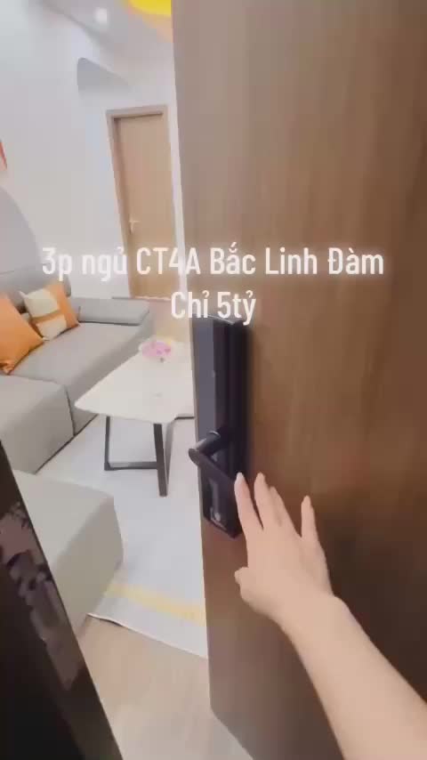 Căn hộ CT4A-X2 Linh Đàm, 3 PN 69 m²
