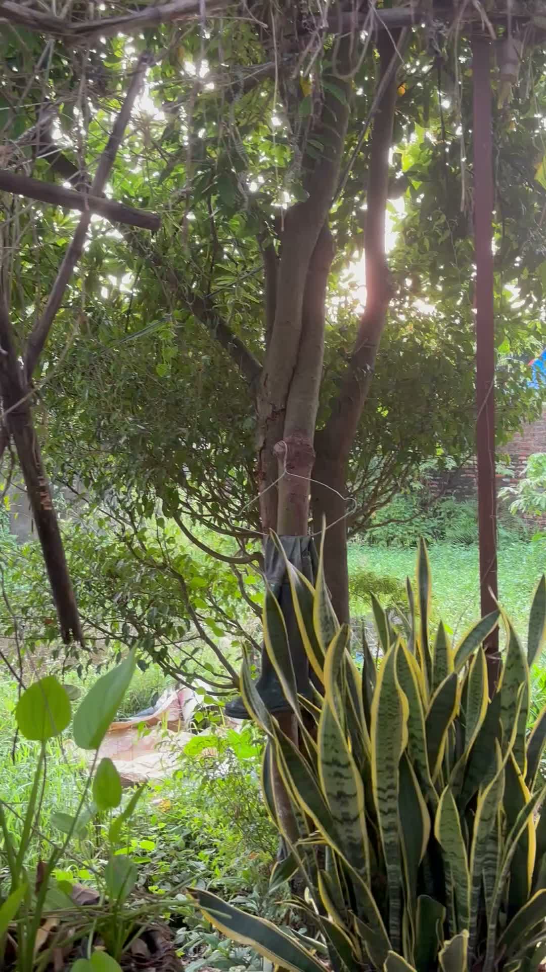 🔥Siêu hiếm nhà Tả Thanh Oai - Thanh trì - Hà Nội  - ảnh 2