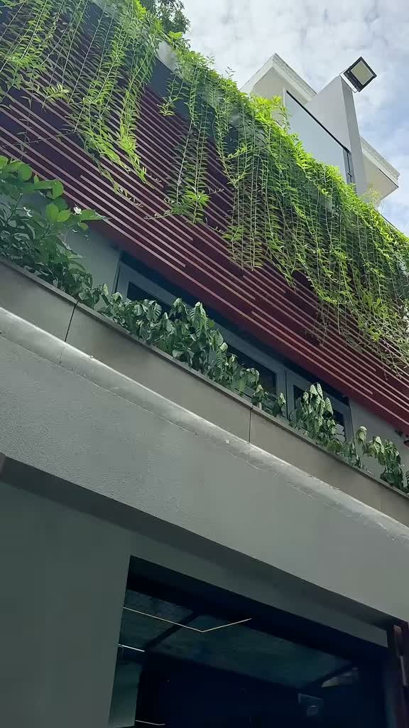 🏡 QUẬN 10 - BA THÁNG HAI - 62M2 - 4 TẦNG MỚI ĐẸP 100% - NHỈNH 14 TỶ. - ảnh 2