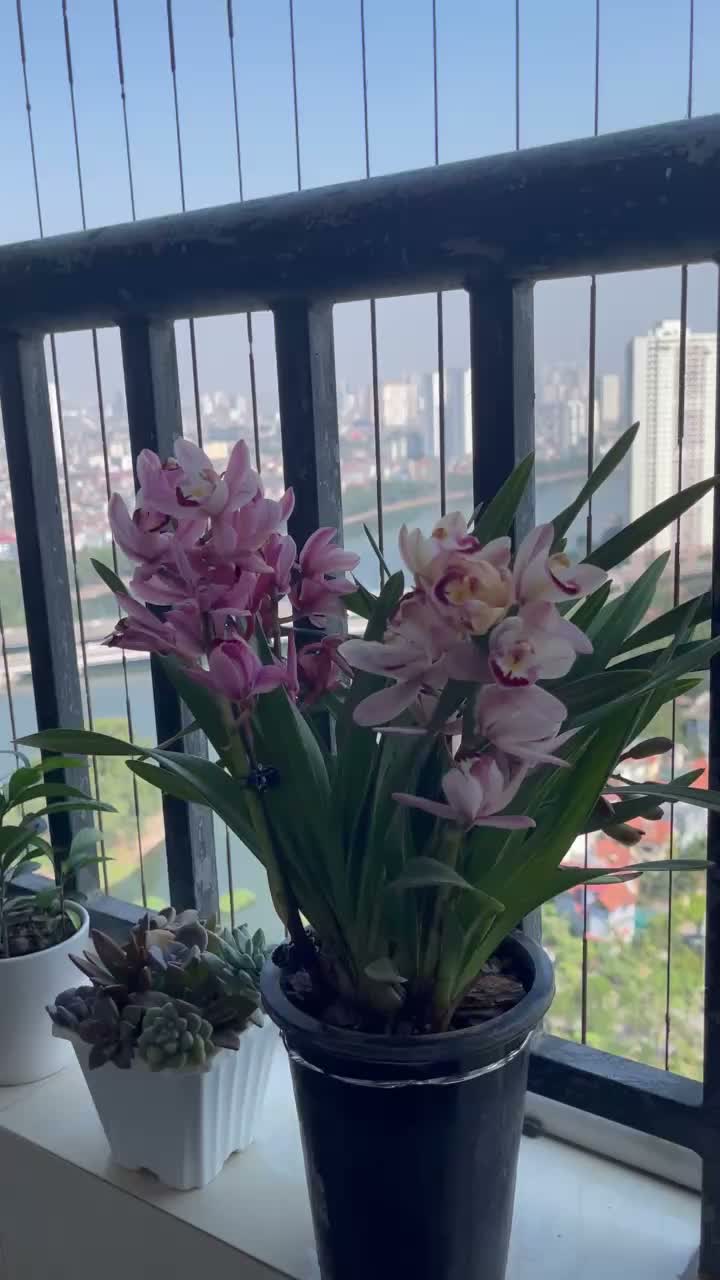 Căn hộ · Tổ hợp Chung cư HH Linh Đàm
