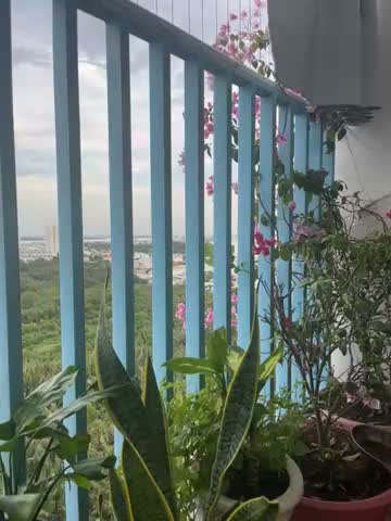 Căn hộ · Orchid Park (Chung cư Phú Gia)