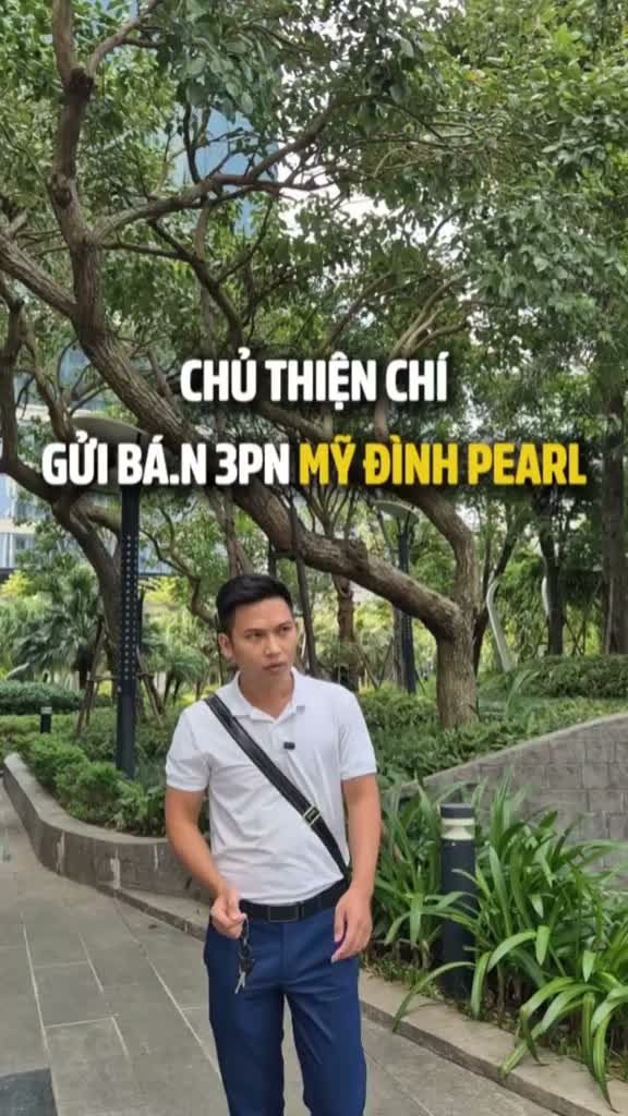 Mỹ Đình Pearl
