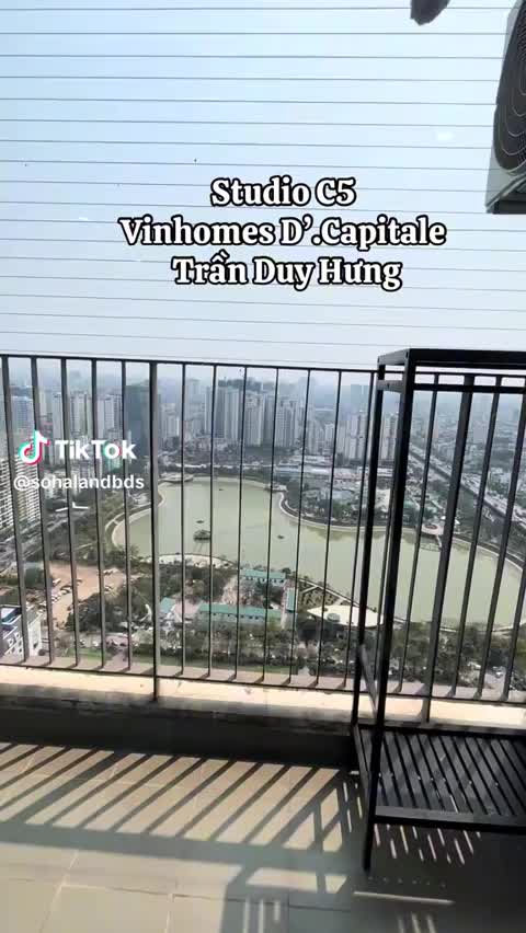 Căn hộ Vinhomes D'Capitale, Studio 36 m²