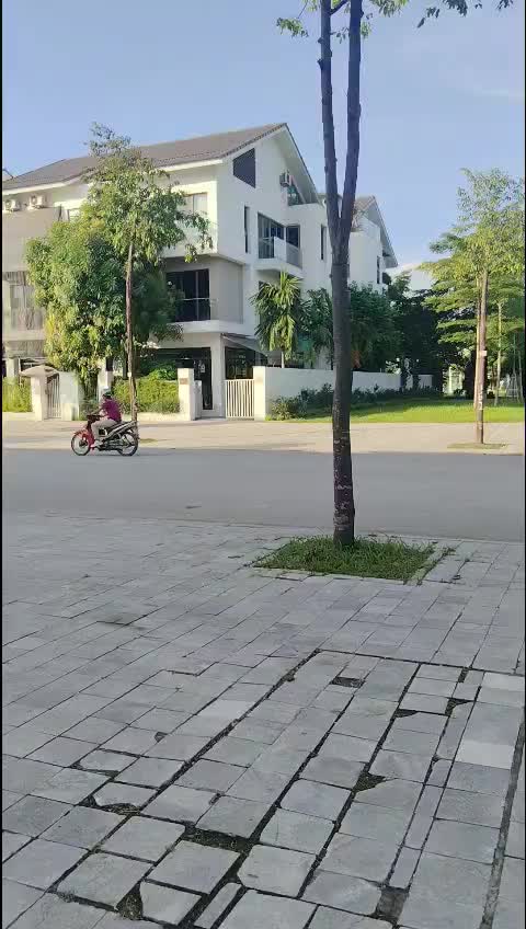 Bán Biệt thự KĐT mới Dương Nội - DT 162m - MT 9m - giá chào 36 tỷ - ảnh 2